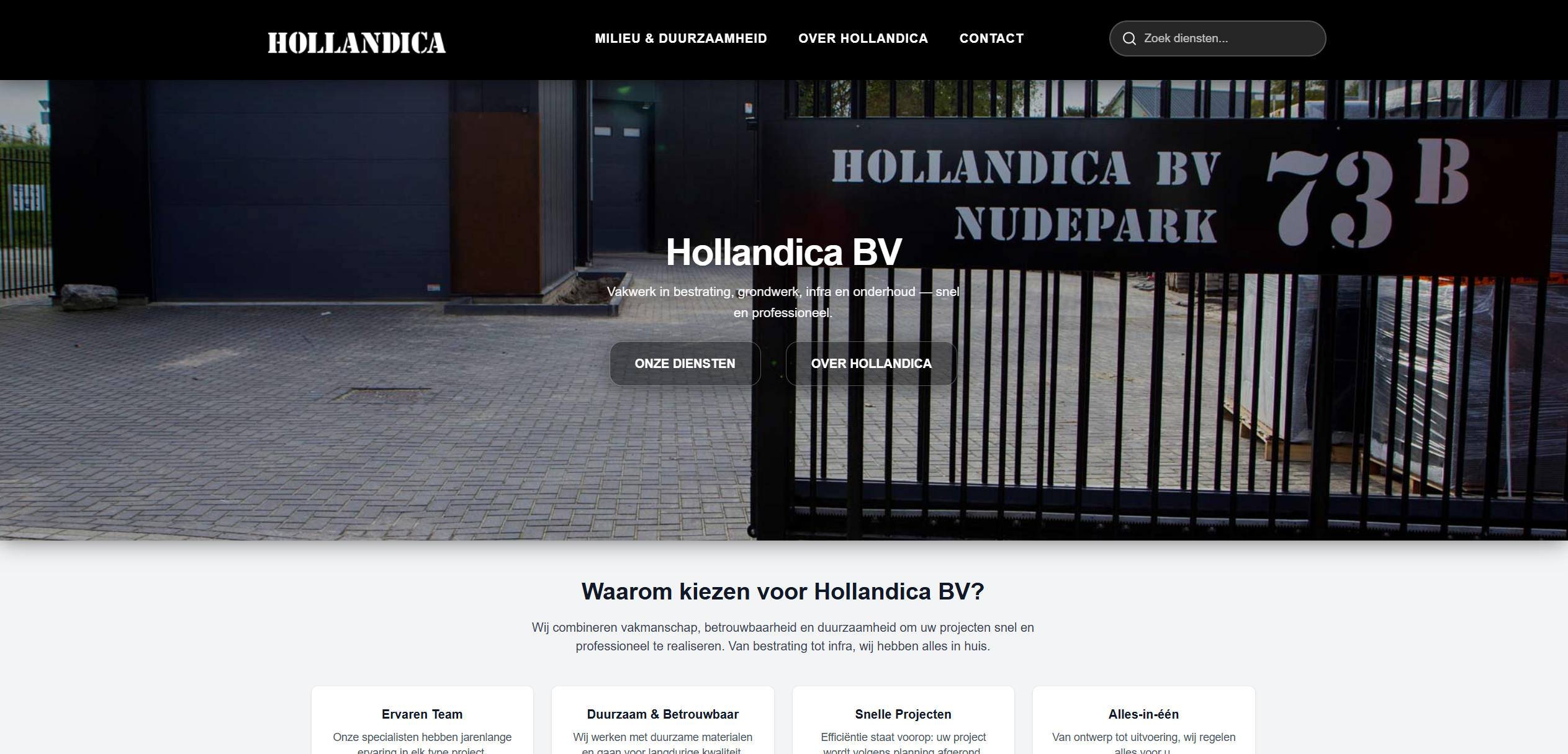 hollandica